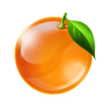 fruitixx orange symbol