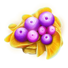 fruitoids 5