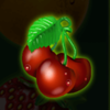 fruits and co cherry symbol