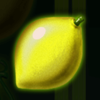 fruits and co lemon symbol