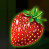 fruits and co strawberry symbol