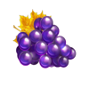 fruits and gold grapes symbol