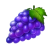 fruits cash grapes symbol