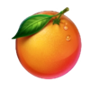 fruits cash orange symbol