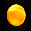 fruits collection 40 lines orange symbol