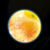 fruits craze on ice star frozen orange symbol