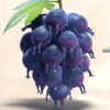 fruits go bananas grapes symbol