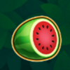 fruits safari melon symbol