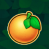 fruits safari orange symbol
