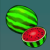 fruity fortune plus watermelon symbol