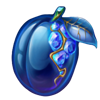fruity lux symbol 3