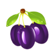 fruity mania plum symbol