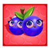 fruity megaways blueberries symbol