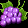 fruityliner 40 grapea symbol