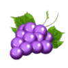 fruityliner xxl grapes symbol