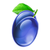 fruityxl plum symbol