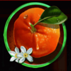 fu chi orange symbol