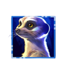full moon white thunder meerkat symbol