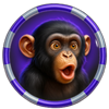 fun n games chimp symbol