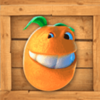 funky fruits farm orange symbol