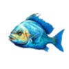 funta gaming sea story fish 1 symbol