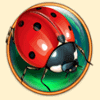 game of luck ladybug symbol