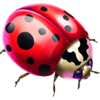 gameart lady luck ladybug symbol