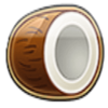 games inc club tropicana coconut symbol