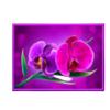 gana volcano patlines rose symbol