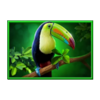 gana volcano patlines toucan symbol