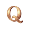 gearlab genius q symbol