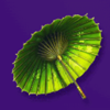 geishas fan umbrella symbol
