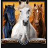 genesis storm rider horse trio symbol