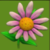 gets the worm flower symbol