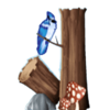 gnome sweet home jack symbol