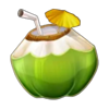 going wild in hawaii coconut symbol