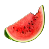 going wild in hawaii watermelon symbol