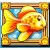gold fish wild symbol