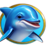 gold oceanica hold and win dolphin symbol