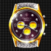 gold race deluxe watch symbol