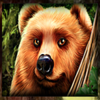 golden acorn bear symbol
