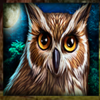 golden acorn owl symbol