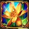 golden acorn scatter symbol