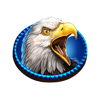 golden buffalo double up eagle symbol