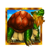 golden dragon turtle symbol