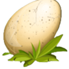 golden gorilla egg symbol