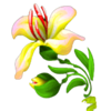 golden gorilla lilly symbol