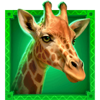 golden lion wheel of fortune giraffe symbol