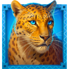 golden lion wheel of fortune leopard symbol