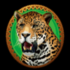 golden princess tiger symbol